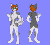 Finn O'Hara by Roninthelonewolf - dog, husky, male, reference sheet, canine, canid, reference, siberian husky, red hair