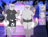 Kamea ref by Kalan115 - raccoon, male, fat, chubby