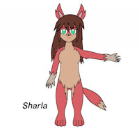 Sharla v0.1 by Keywee612 - fox, female, wolf, hybrid, reference sheet