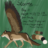 Stormy (feral ver.) by StormyChang - female, wolf, reference sheet, eagle, feral, wings, ref, ref sheet, reference, dire wolf, direwolf