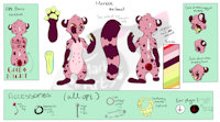 Marble by MarbleArts - female, reference sheet, anthro, toony, furry, ref, marble, genet