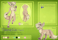 Tanelia-Ref by Gela98 - female, shy, soft, calm, fennec fox, sfw, vulpes zerda