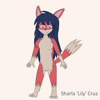 Sharla 'Lily' Cruz Ref v1.5 by Keywee612 - fox, cute, female, wolf, hybrid, folf, wolf hybrid, referencesheet, longhair, sharla cruz