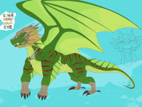 Feral Form Ref by Mate397 - dragon, male, reference sheet, scalie, feral dragon