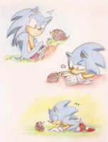 Sonic meets the hedgehog by EsbelleXD - fanart, hedgehog, sketches, sonic the hedgehog, hedgehogs
