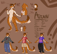 Autumn Ref Sheet by Kawfee - male, tiger shark, ref sheet