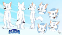 Pent's reference sheet by pentrep - puppy, fox, cub, kit, boy, shota, male, kid, canine, arctic fox, vulpine, reference, kidfur, pandapaco