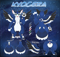 Kyocera Angel Dragon - Short Tailed Version by aynblackfox - fox, male, hybrid, reference sheet, blue jay, crescent moon, angel dragon, genetically engineered, kyocera