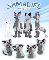 Samaliel's reference by pentrep - puppy, fox, cub, kit, boy, shota, male, teen, reference sheet, canine, arctic fox, vulpine, reference, pacopanda