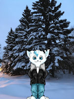 AOXA (Stigma's big brother) by AOXA - cat, kitten, male, jacket, jeans, blue, snow, smile, happy, winter, snowkitty, nightsky, male/solo, night time, cat fox, male solo, winter coat, pilotjacket