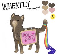 Wheatly the Tabby Cat by DorkyDog - male, nyan cat, meme rape