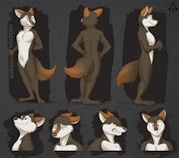 Murana Wolford Ref Sheet - By Temiree by Darkflamewolf - female, wolf, reference sheet, ref sheet, expressions, poses, timber wolf, zootopia