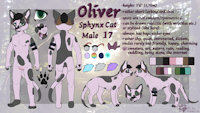 .: OLIVER REFERENCE SHEET 2016 :. by AnukaCat - cat, feline, male, sphynx