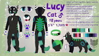 .: LUCY REFERENCE SHEET 2016 :. by AnukaCat - cat, feline, male