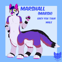.: Marshall Reference Sheet :. by AnukaCat - fox, male, canine, taur, vulpine, grey fox