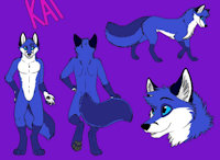 Kai The Fox ref by KaiTheFox - fox, male, reference sheet, anthro, feral
