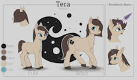 Tera Reference by Difetra - female, reference sheet, pony, reference, mlp, tera bit