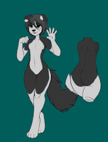 New Tyler ref by TylerCollie - male, border collie