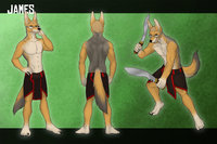 Offical 'sona by GoldenJackal - male, glasses, shorts, jackal, loincloth, kukri's, buzzcut