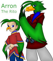 LOZ OC: Arron the Rito by AaronScales - male, avian, wind waker, legend of zelda, rito, breath of the wild