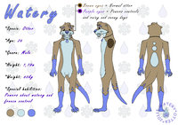 'Watery's model sheet' by WateryOtter10Gr - male, otter, model, sheet, watery