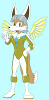 Romverse character profile: Seraph (Skye Eldrich) by LoneWolf23k - fox, teen, fennec, superhero, fennec fox, futa, futanari