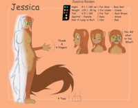 Jessica Design sheet Clean  by kamperkiller - female, squirrel, jessica, echo