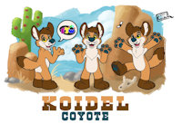 reference sheet koidel by KoidelCoyote - male, reference sheet, coyote, drawing, reference, refsheet, referencesheet, rotation