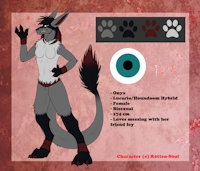 Onyx the Lucario - Reference Sheet by R0ttR0tt - lucario, female, canine, pokemon