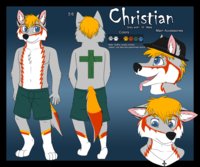 Christian Wolf Ref Sheet 2.0 by ChristianWolf - male, ref sheet, grey wolf, zebrawolf, christian wolf