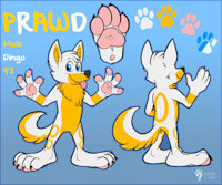 Prawd Reference by BlurTheFur - dog, yellow, cute, male, paws, dingo, ref, artwork (digital), prawd