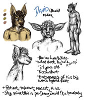 Anakuro Character Study: David by Anakuro - sketch, cute, comic, male, hybrid, underwear, freckles, character sheet, bulge, briefs, spots, deer, profile, lynx, character, sheet, ref, reference, expressions, study, webcomic, white tailed deer, curly, plantigrade, david, whitetail, spanish, anakuro, male/solo, iberian lynx, dimples