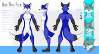 Ref Sheet Commission by KaiTheFox - fox, male, reference sheet, vulpine