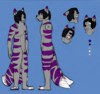 My refrance sheet :D by Eclipsethefolf - fox, cute, wolf, male, hybrid, purple, tails, grey, folf, emo, punk, twintails, :d