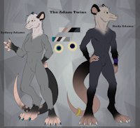 The Adam Twins - Duo Reference Sheet by R0ttR0tt - twins, female, male, reference sheet, brother, siblings, sister, marsupial, ref, ref sheet, reference, opossum, refsheet, refrence, male/female, ref-sheet, referencesheet, brother and sister, references, opossums