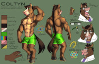 Coltyn Reference by Coltyn - male, horse, my little pony, coltyn