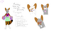 New OC Torappu tanuki by KingCorgi - male, reference sheet, girly, cuteness, fursona, girly boy, tanuki, cheerleader