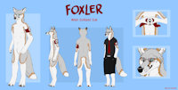 Foxler Reference Sheet by starfoxACEFOX - fox, male, reference sheet, pose, corsac fox, foxler