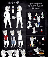 Hector Ref 2017 by Firstloli - male, reference sheet, hector, artic wolf