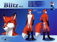 Reference Sheet by Darkgoose by Blitzkriegfox - fox, male, reference sheet, vulpes vulpes