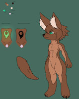 My new refrence sheet by KurisuTJ - male, reference sheet, jackal