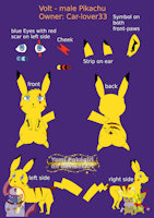 Volt - Sheet by CrystalAbsol - male, mouse, ear, smile, young, scar, sheet, solo, pokémon, happy, alone, ref sheet, pikachu, blue eyes, single, young adult, symbol, sfw, yellow fur, cheek, back view, front view, side view, yami krypto, symbol on paw