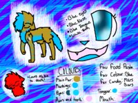 Fallen Reference Sheet by FallenTheCat - cat, feline, female, male, reference sheet