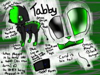 Tabby Reference Sheet by FallenTheCat - cat, feline, male, reference sheet, tablet