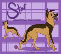 Star Reference by LostWolfSpirit - dog, star, female, canine, feral, model, german, shepherd, character, sheet, canid, german shepherd, reference, quad, quadruped, german shepherd dog, arachnid, liver, lostwolfspirit, minnowfish, stary