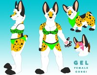 Gel Character Sheet by Gel - dog, female, corgi, character sheet, reference, pembroke welsh corgi