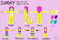 Sunday Reference Sheet by MagicWolfy - cat, female, domestic cat, cheerful, bubbly, fun loving