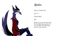 Ryder Character Sheet by SaphireBlueflame - fox, wolf, male, purple, black, emo, scene, saphireblueflame