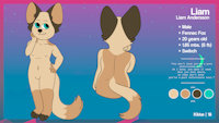 Liam Andersson | Reference Sheet by KittoPaws - male, fennec, fennec fox