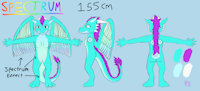 Spectrum Reference Sheet by MagicWolfy - dragon, female, colorful, cyan, colors, spirit, genderless, reference, spectrum